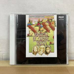 g52■【KOR盤/CD】Natural Acoustic Band / Branching In ● Si-Wan Records / SRMC 1040 / アシッドフォーク 220314