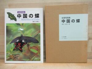 c04★ 生態写真集 中国の蝶 渡辺康之著 初版 トンボ出版 定価25000円 サイン入 昆虫学 プラットの中国・チベット旅行記 蝶類研究 220128