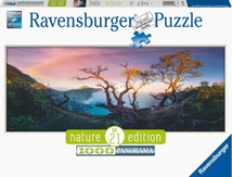RV 17094 1000片 ピース ジグソーパズル ドイツ発売 イジェン山_画像2