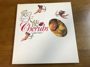 t3/画集 愛の天使 ケルビム Cherubs　Angel of Love アレクサンダー・ネーグル 高橋康也/河合美穂子 1995年 初版発行