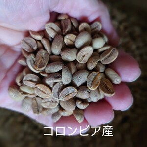 オールドクロップのコロンビアを焙煎、ワンドリップにて。