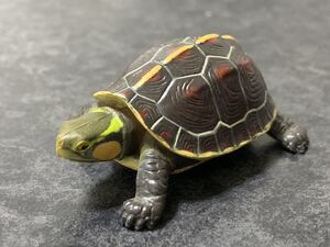 ヤフオク チョコエッグヤエヤマセマルハコガメ の落札相場 落札価格 ヤフオク チョコエッグヤエヤマセマルハコガメ の落札相場 落札価格