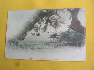 明治絵葉書. 東京市. 上野.　不忍池. 110年以上前の写真.　コロタイプ印刷。手彩色