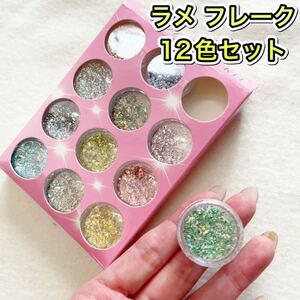 ネイルパーツ ネイル素材 レジン 流れ星 星の粉 ネイル ジェルネイル ラメフレーク ラメ ネイルチップ 12色 ニュアンスネイル