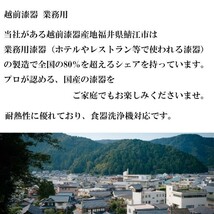 ワインクーラー 酒ボックス 箔銀石目 冷酒クーラー 越前漆器 業務用 食器洗浄機対応 食洗機対応 日本製 国産_画像4