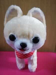  prompt decision!.... walk gimik toy legume .. three siblings Lead .. walk gimikpomelani Anne soft toy not for sale dog 