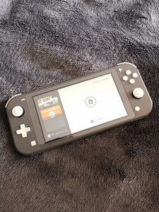 スイッチライト 本体 (11-P)【1週間保証有り!!】 Nintendo Switch