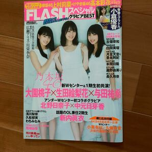 芸能雑誌 付録付) FLASHスペシャル グラビアBEST 2017 盛夏号