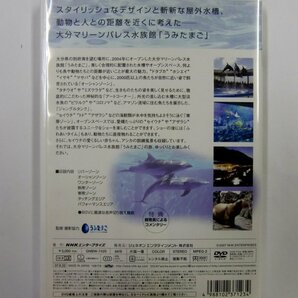 ★DVD NHKDVD 水族館 An aquarium 大分マリーンパレス水族館「うみたまご」★ 【ア852】の画像2