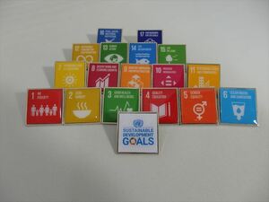 SDGsピンバッジ(国連ブックショップ購入・送料無料)(17個のアイコンピンバッチと1個のSDGsロゴのピンバッチセット)ラバークラスプ素材 N98