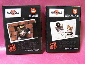 ヤフオク なめ猫 写真集 の落札相場 落札価格 ヤフオク なめ猫 写真集 の落札相場 落札価格