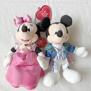 東京ディズニーリゾート トータリーミニーマウス ぬいぐるみバッジ ぬいば バレンタインナイト バレナイ ミッキー ミニー