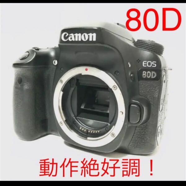 【動作絶好調！】Canon EOS 80D ボディ