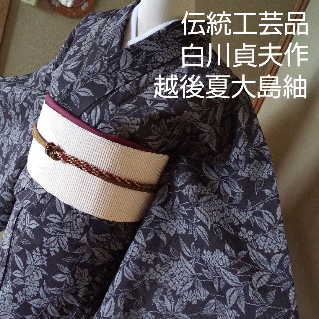 経典ブランド 【伝統工芸品】白川貞夫作 越後夏大島紬 - 着物