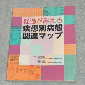 経過がみえる疾患別病態関連マップ／山口瑞穂子関口恵子