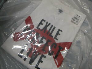 新品 未開封 エグザイル EXILE PERFECT LIVE 2001-2020 ロゴTシャツ サイズM LDH PERFECT YEAR 2020 カットソー メ12193