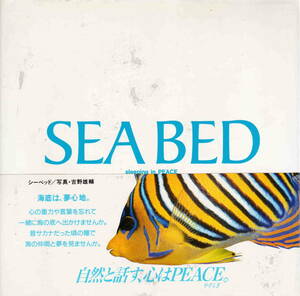 吉野雄輔・写真★「自然のアイブック　SEA BED　Sleepin in PEACE」山と渓谷社刊