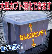 深くてデカイケース付き☆外産カブトムシ専用☆特選プレミアム発酵マット20入り☆便利！幼虫を入れるだけ！180ミリのヘラクレス実績あり！_画像1