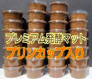  the first .,2.. small amount .. convenience! premium 3 next departure . stag beetle mat entering pudding cup [30 set ]o ok wa, common ta, Miyama,nijiiro, saw .