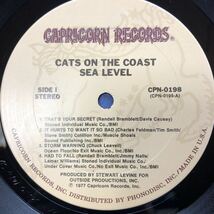 sea level キャッツ・オン・ザ・コースト Cats On The Coast Sea Level LP レコード 5点以上落札で送料無料M_画像4