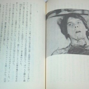 ★文庫【13日の金曜日】サイモン・ホーク 大森望 創元推理文庫 1988年 ジェイソン 送料200円の画像3