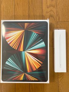 新品未開封 iPad pro第5世代 12.9inc 512GB Wi-Fi シルバー+Apple pencil 第2世代