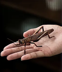 ヤフオク バッタ 虫の中古品 新品 未使用品一覧 ヤフオク バッタ 虫の中古品 新品 未使用品一覧