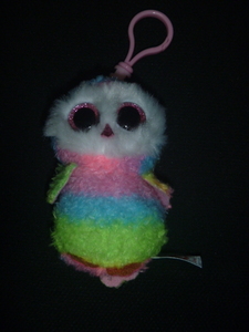 ty Owen owl mascot o-wen