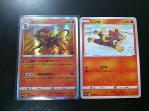 ポケモンカード SS カエンジシ じゃくねつオーラ