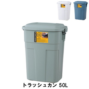 ゴミ箱 50L ふた付き ごみ箱 トラッシュカン 幅45.5 奥行32 高さ57.6cm ペール ダストボックス おしゃれ グリーン M5-MGKAM00595GR