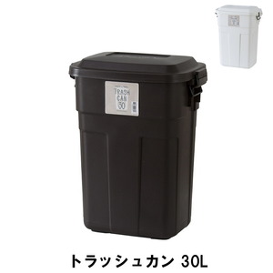 ゴミ箱 30L ふた付き ごみ箱 トラッシュカン 幅39 奥行27 高さ48.6cm ペール ダストボックス インテリア ホワイト M5-MGKAM00594WH