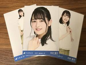 向井葉月 乃木坂46 3種3枚 コンプ ステッチデザイン ランダム生写真 2022.January-II netshop web 限定 2022年1月