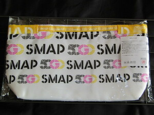 送料無料　開封/未使用品　SMAP バッグインバッグ　50 GO SMAP 2013　SMAP SHOP限定