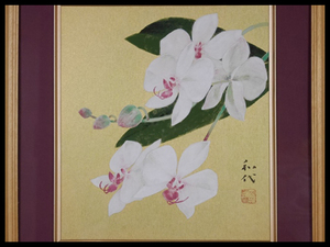 松下和代 日本画 金色紙 白い花（洋蘭）額装（専用箱）色紙 日本美術院院友 師:郷倉千靱