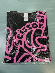 AKB48 公式グッズ Tシャツ Sサイズ ① 新品未開封品 AKB48 SKE48 NMB48 HKT48 NGT48 STU48