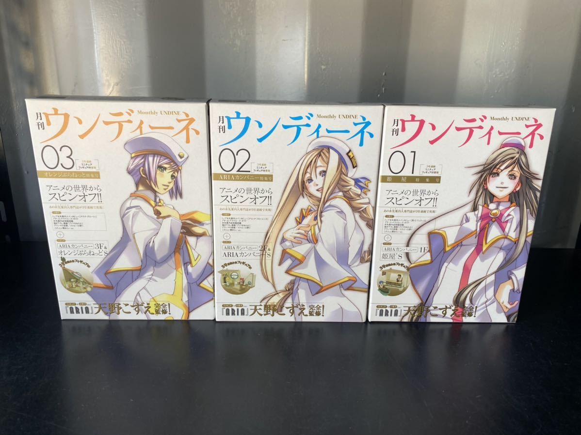 マラソン限定!ポイント5倍 ARIA マスク(姫屋) - その他