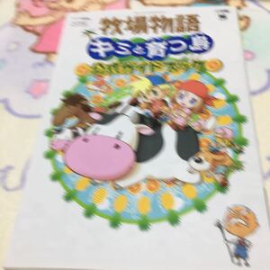 ニンテンドーDS 牧場物語 キミと育つ島 公式ガイドブック 小学館ワンダーライフスペシャル/ゲーム攻略本