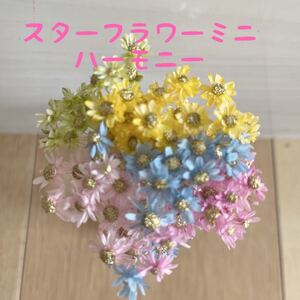 スターフラワーミニ 加工花材 ハーモニー 茎付き50本+α