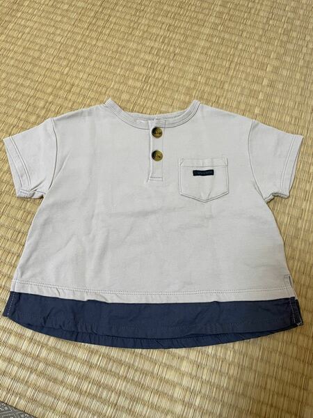 テータテート　Tシャツ