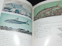 kb9■原色淡水魚類検索図鑑　中村守純著/図鑑の北隆館/昭和４６年再版_画像2