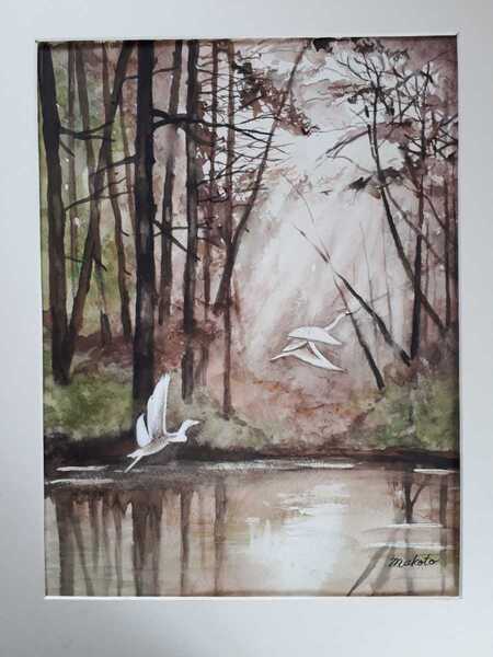 水彩画 森の日差し