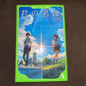 【毎週末倍! 倍! ストア参加】 君の名は。 /新海誠/ちーこ 【参加日程はお店TOPで】