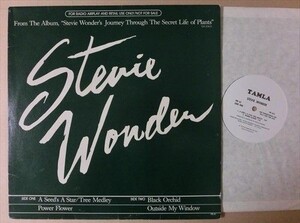 12は プロモオンリー Stevie Wonder 哀愁 ソウル A Seed's A Star ディスコ ソウル ダンクラ Syreeta