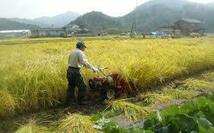 令和２年宮城県登米産ひとめぼれ環境保全米３０㎏自然乾燥米（玄米）_画像2