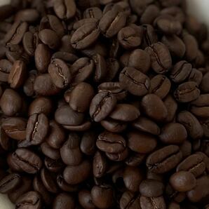 自家焙煎 ペルー ウォッシュド 100g 注文後焙煎 YHR-COFFEE ギフト プレゼント コーヒー豆 コーヒー 珈琲 豆