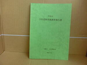 Bｂ1832-e　本　芦屋市 寺田遺跡発掘調査報告書 古代學協會 昭和60年