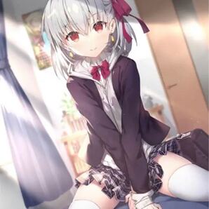 カーマ Wスエード B1タペストリー FGO 我美蘭 でぶねこ