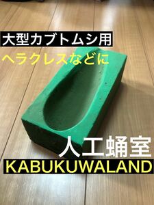 【KABUKUWALAND】ヘラクレス　大型カブトムシ用　人工蛹室　80個　セット