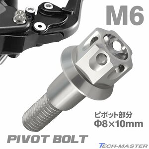 バイク ハンドル レバーボルト ピボットボルト Φ8×10mm M6×13mm ステンレス シルバーカラー TH0535