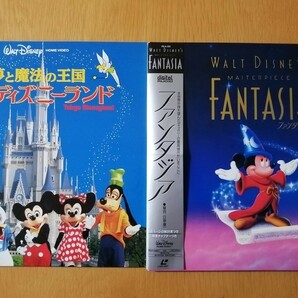 夢と魔法の王国 東京ディズニーランドファンタジア☆レーザーディスク☆2枚セット